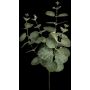 Rama artificial de eucalipto ERINDALS, verde-gris, 60 cm