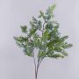 Rama decorativa de tuya BIRLAF, verde-gris, 85 cm