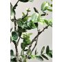 Rama artificial de eucalipto NEKFAR, verde grisáceo, 60 cm
