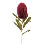 Flor artificial Banksia robur BRAGEK, rojo burdeos, 65 cm