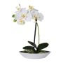 Orquídea Phalaenopsis artificial ORWAN, bandeja decorativa, raíces, blanco, 30 cm