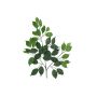 Rama artificial de ficus benjamina SAKURA, 12 unidades, verde, 55 cm