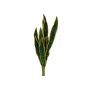 Espuma plástica Sansevieria trifasciata CADENCE, verde-amarillo, 60cm
