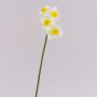 Narciso artificial SEPUNY, amarillo crema, 40 cm