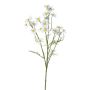 Rama decorativa de manzanilla WISOP, blanco, 75 cm