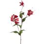 Rama decorativa de gloriosa LISUPY, rojo rubí y dorado, 80 cm