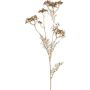 Rama artificial de zanahoria silvestre GRAHEN, dorada, 85 cm