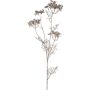 Rama artificial de zanahoria silvestre GRAHEN, champán, 85 cm