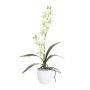 Arte Dendrobium Sonia Orquídea NELTI, maceta de cerámica, raíces, verde claro, 60cm