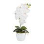 Flor decorativa Phalaenopsis DRINTOR, maceta de cerámica, raíces, blanca, 40 cm