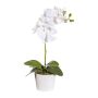 Flor decorativa Phalaenopsis TRALKE, maceta decorativa, raíces, blanco, 40cm