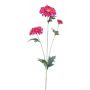 Rama decorativa gerbera TIVREN, fucsia, 65cm