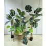 Planta artificial filodendro monstera deliciosa CUNKYN en maceta decorativa, 60 cm