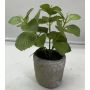 Planta artificial menta POLINDA en maceta decorativa, verde, 26 cm