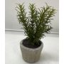 Planta artificial romero POLINDA en maceta decorativa, verde, 26 cm