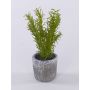 Planta artificial romero POLINDA en maceta decorativa, verde, 26 cm
