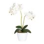 Flor decorativa Phalaenopsis FRUXO, maceta de cerámica, raíces, blanca, 50 cm