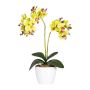 Flor decorativa Phalaenopsis FRUXO, maceta de cerámica, raíces, verde, 50cm