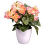 Flor artificial begonia SYLINA, maceta decorativa blanca, rosa, 25 cm