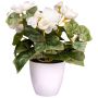 Flor artificial begonia SYLINA, maceta decorativa blanca, color crema, 25 cm