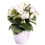 Flor artificial Begonia SYLINA, maceta decorativa blanca, color crema, 30 cm