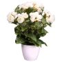 Flor artificial Begonia SYLINA, maceta decorativa blanca, color crema, 35 cm