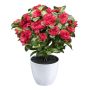 Flor artificial azalea WHENFA en maceta decorativa blanca, roja, 30 cm