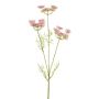 Rama artificial de zanahoria silvestre KRAHEN, rosa, 50 cm