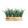 Hierba decorativa WENMAL en caja de madera, verde, 30 x 9 x 23 cm