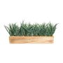 Hierba decorativa WENMAL en caja de madera, verde, 52 x 10 x 23 cm