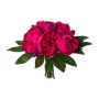 Ramo de flores artificiales de peonía SIRKO, cereza, 30 cm