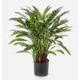 Planta artificial Calathea Rufibarba ADELFRIEDE, verde, 90 cm