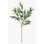 Rama de olivo artificial BRANDAR, crossdoor, verde, 70 cm
