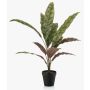 Planta artificial Calathea Makoyana WIDO en maceta decorativa, verde-burdeos, 60 cm