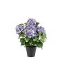 Hortensia artificial DORJA en maceta decorativa, lila, 40 cm