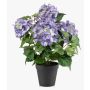 Hortensia artificial DORJA en maceta decorativa, lila, 40 cm