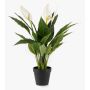 Planta artificial de una hoja RANIESO, maceta decorativa, flores, blanca, 55 cm