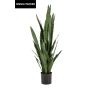 Planta artificial Sansevieria ELSAWU, verde, 140 cm