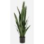 Planta artificial Sansevieria ELSAWU, verde, 140 cm
