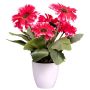 Flor artificial Gerbera KROLVEN en maceta decorativa blanca, fucsia, 27 cm