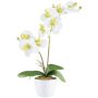 Orquídea Phalaenopsis artificial KRUZBER, maceta de cerámica, raíces, blanco-verde, 55 cm