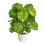 Planta artificial Calathea Orbifolia BLAHEN, maceta de cerámica, verde, 50 cm