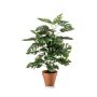 Planta artificial Philodendron monstera deliciosa HINAGIKU en maceta de terracota, 65 cm