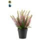 Erica artificial ELSAWO en maceta decorativa, crossdoor, lila, 30 cm