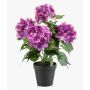 Hortensia artificial DORJA en maceta decorativa, violeta, 40 cm