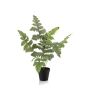 Helecho artificial SCORPI en maceta decorativa, verde, 60 cm