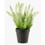 Erica artificial ELSAWO en maceta decorativa, crossdoor, blanco-verde, 30 cm