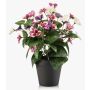 Pensamientos artificiales NORHA en maceta decorativa, rosa-lila-blanco, 30 cm