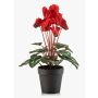 Ciclamen artificial VERIANA en maceta decorativa, rojo, 30 cm