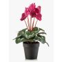 Ciclamen artificial VERIANA en maceta decorativa, rosa, 30 cm
